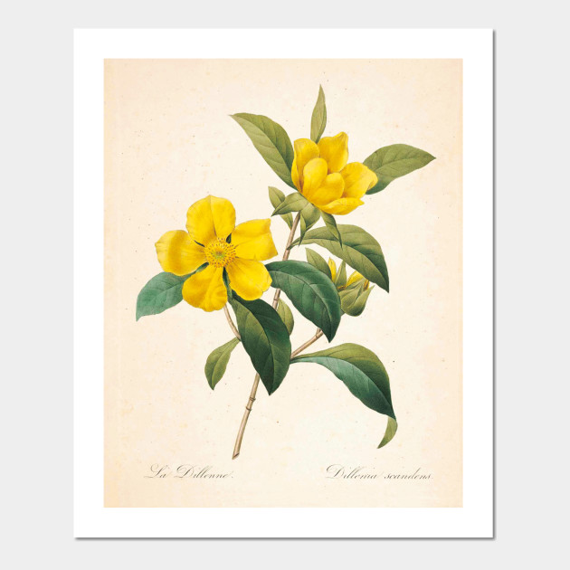 Flowers Color Pencil Drawing - casual Pencil skirt outfit